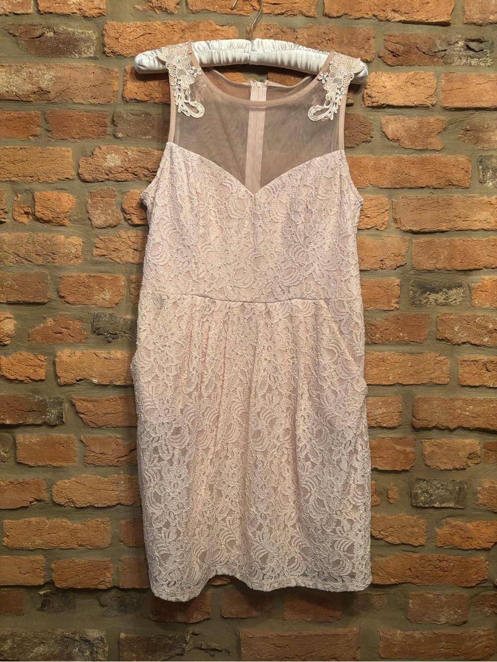 City Triangles Blush Lace Illusion Neck Mini Dress